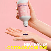 Invigo Blonde Recharge Shampoo  300ml-214520 Invigo Blonde Recharge Shampoo  300ml-214520 5